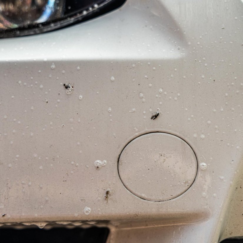 Auto Finesse Citrus Power - pH neutrální odstraňovač hmyzu a špíny - Objem:: 5 L