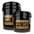 NUKE GUYS Explicit Gold Bucket - Detailingový kbelík