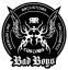 Bad Boys velké balení - EXTERIÉR (5 L) - DRUH:: Traffic Film Remover - Koncentrované předmytí