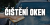 ČIŠTĚNÍ OKEN