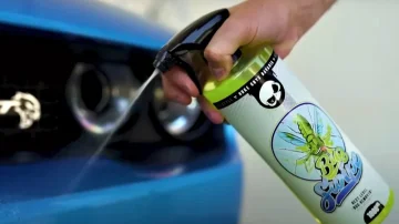 Jak odstranit hmyz z auta?